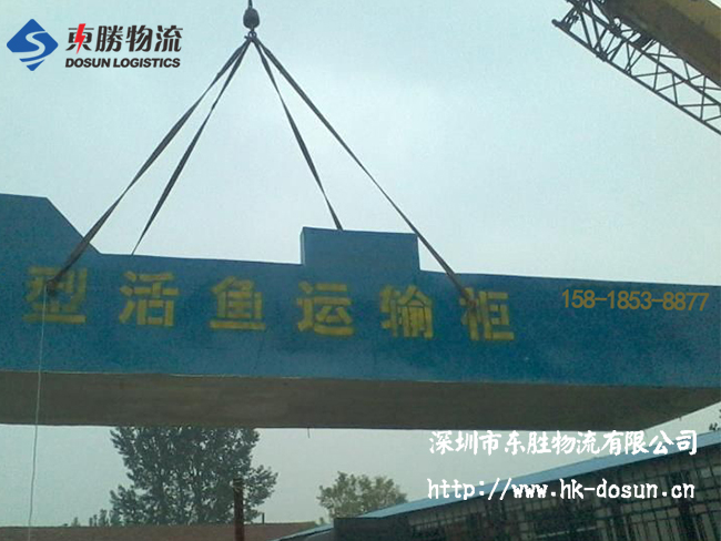 物流活體魚要注意哪些事項？該怎么運輸？深圳到香港物流,香港深圳貨運運輸,深圳香港進出口,深港物流專線,中港物流,東勝物流集團-大件物流到香港