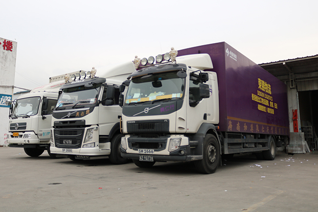 活物運(yùn)輸謹(jǐn)記這5項(xiàng)，讓你的生意越做越火！--深圳市東勝物流；深圳到香港物流,香港深圳貨運(yùn)運(yùn)輸,深圳香港進(jìn)出口,深港物流專線,中港物流,東勝物流集團(tuán)