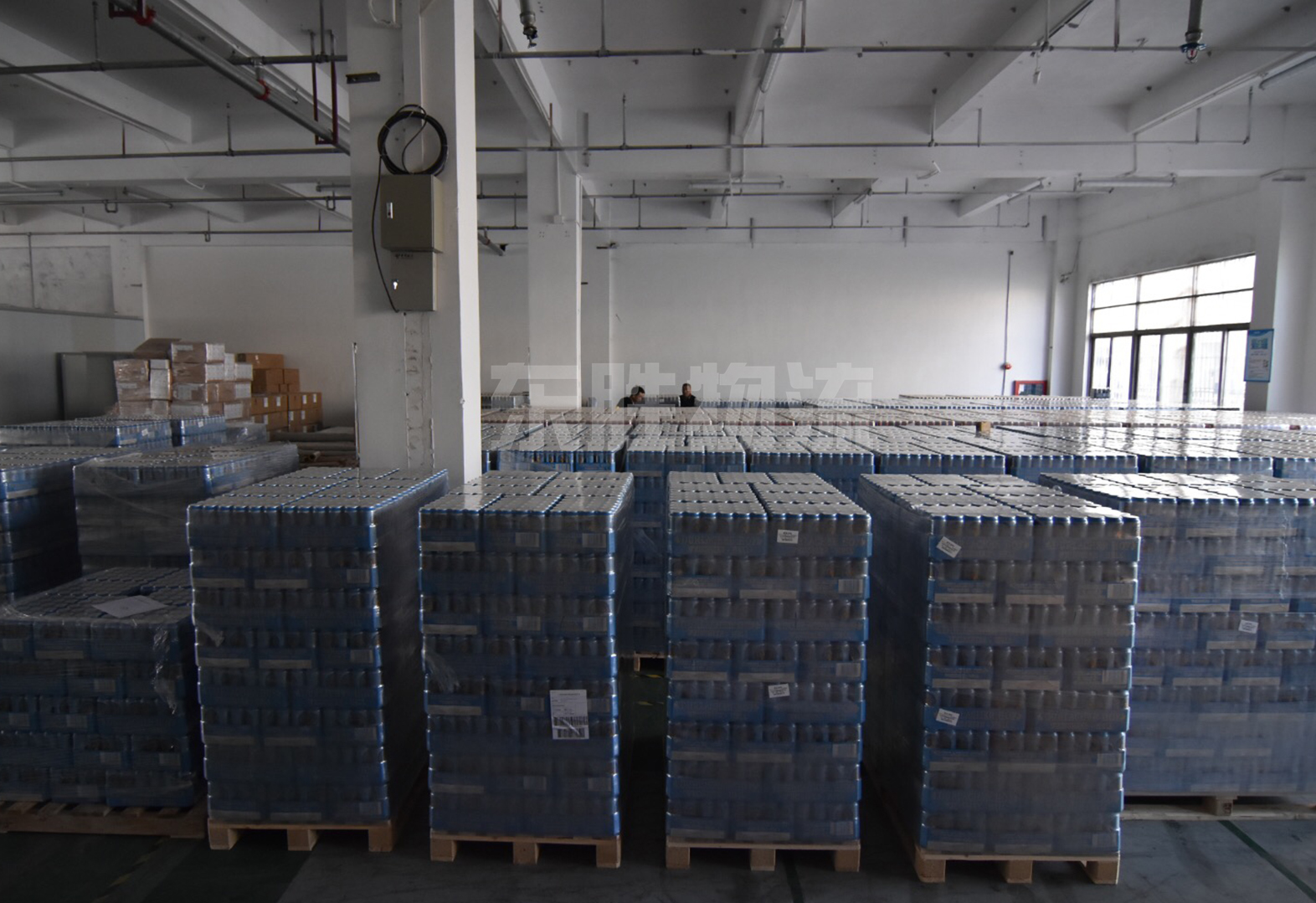 啤酒進出口運輸操作；東勝物流，深圳到香港物流,香港物流專線,深圳香港進出口,中港物流,香港深圳貨運運輸_深圳市東勝物流有限公司